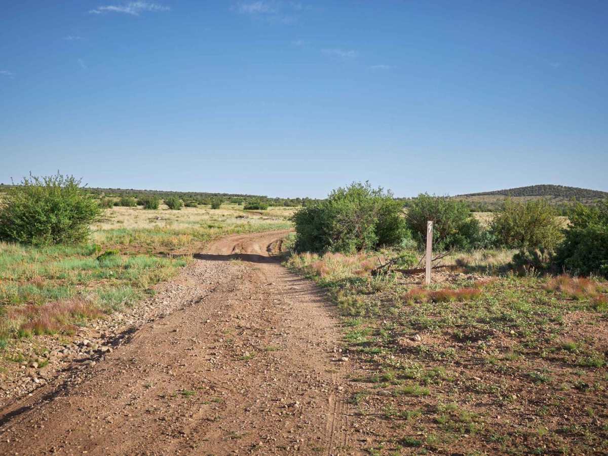 Prairie Blast / FR 27 photo 3