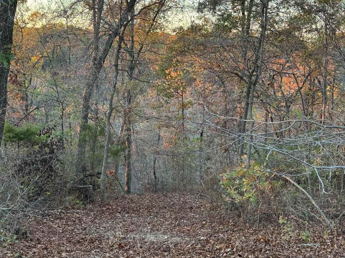 Yellow 158 trail photo