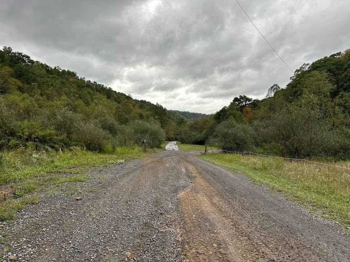 Tams Loop Green photo 6