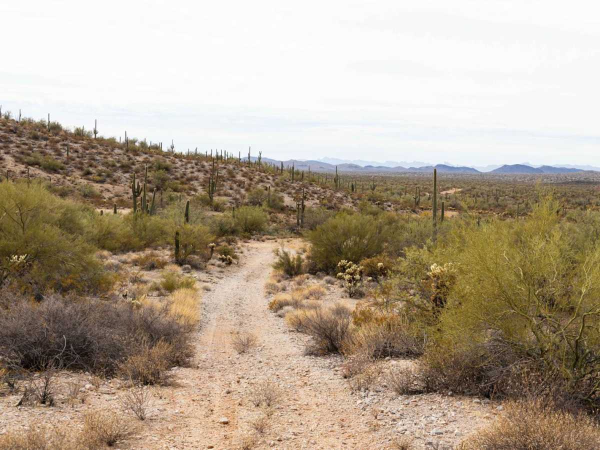 Browns Canyon and Mine Access photo 3