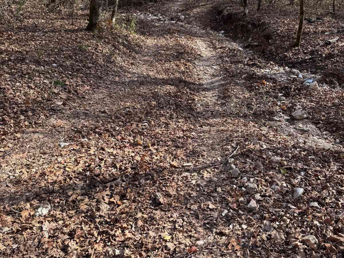 Yellow 176 trail photo