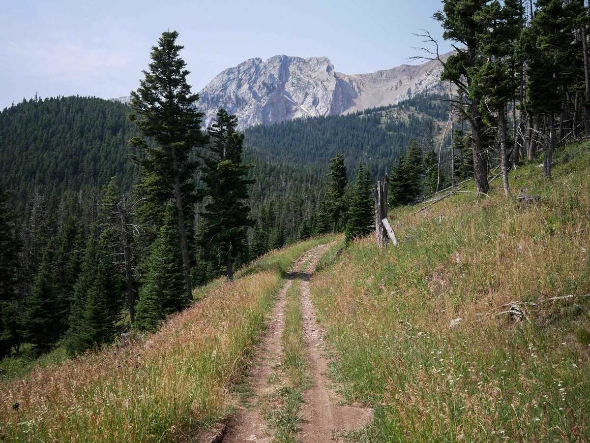 South Fork Flathead Creek trail photo