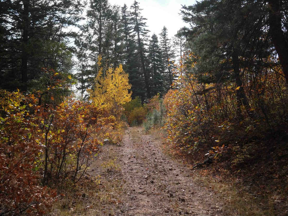 Mule Mountain Spur 2 trail photo