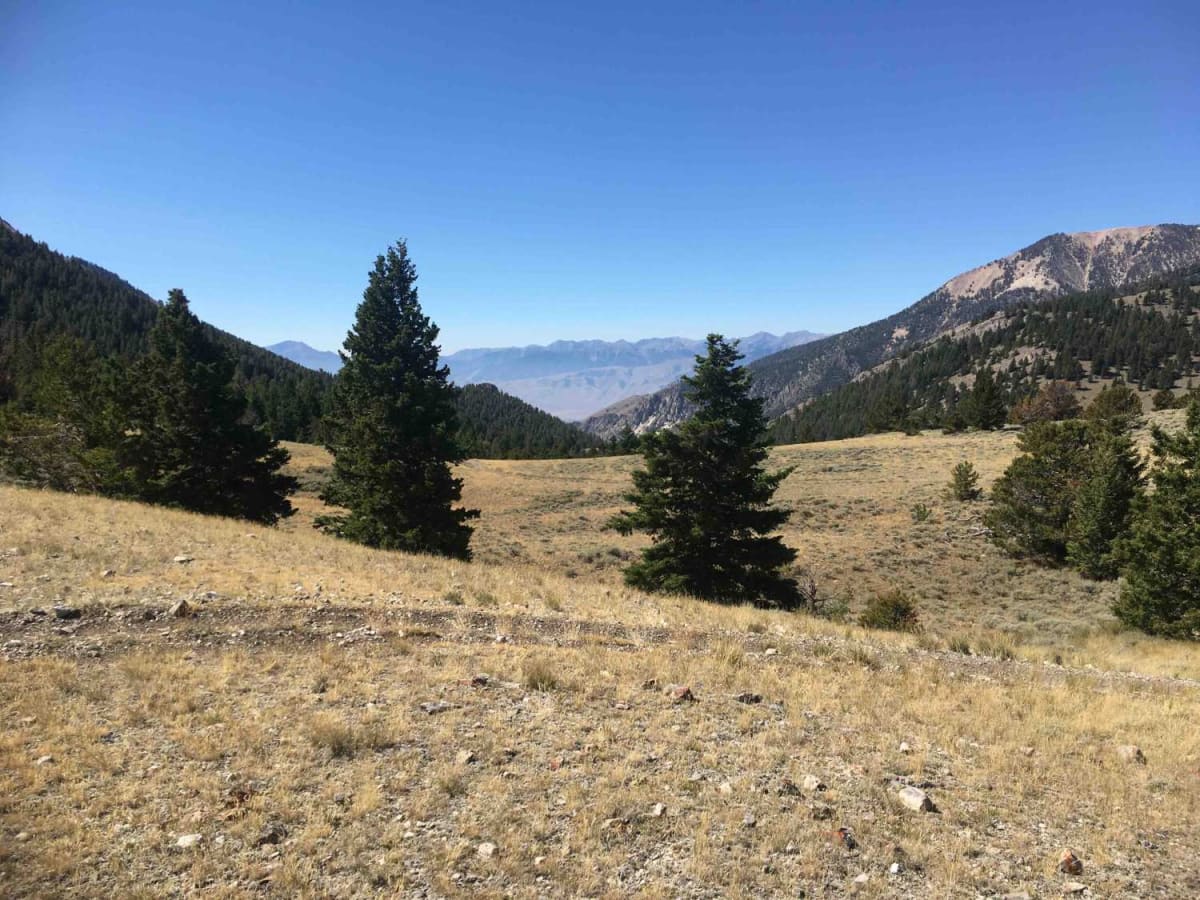 Northfork Eightmile Trail photo 4