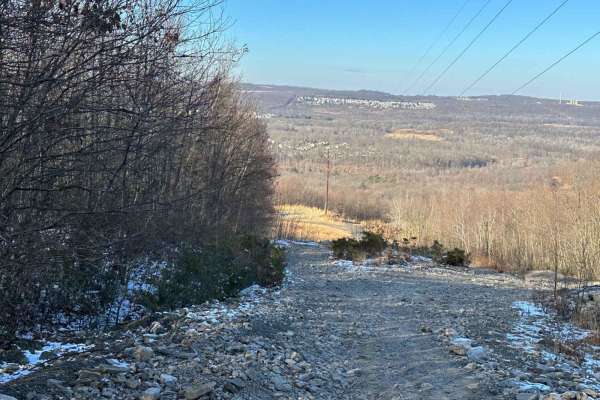 Locust Gap 69