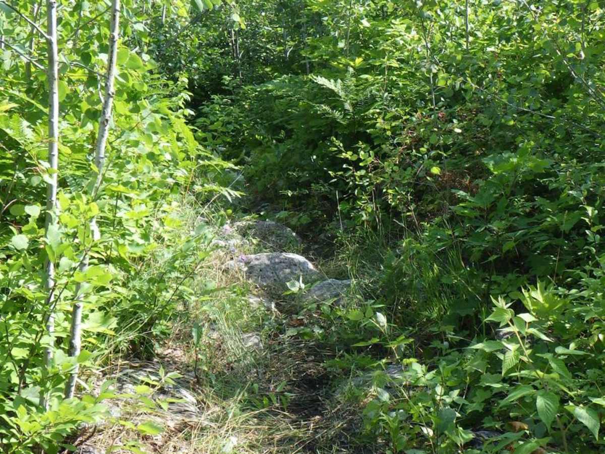 Foreman Lake Motorcycle Trail photo 3