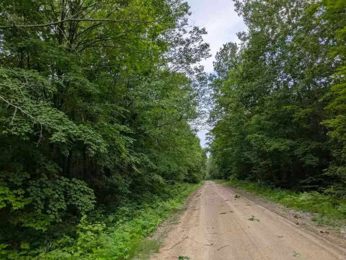 3772 trail photo