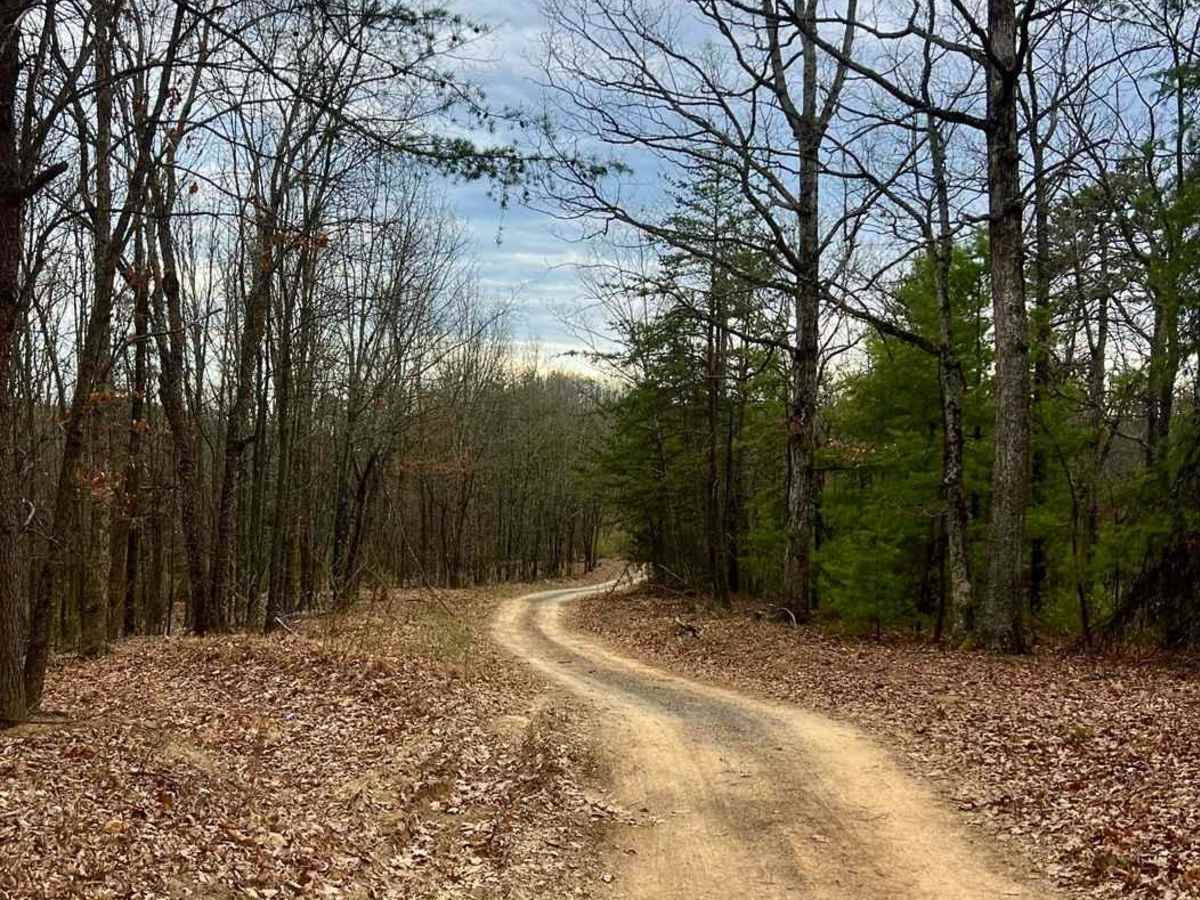 Gauley Ridge Forest Road photo 5