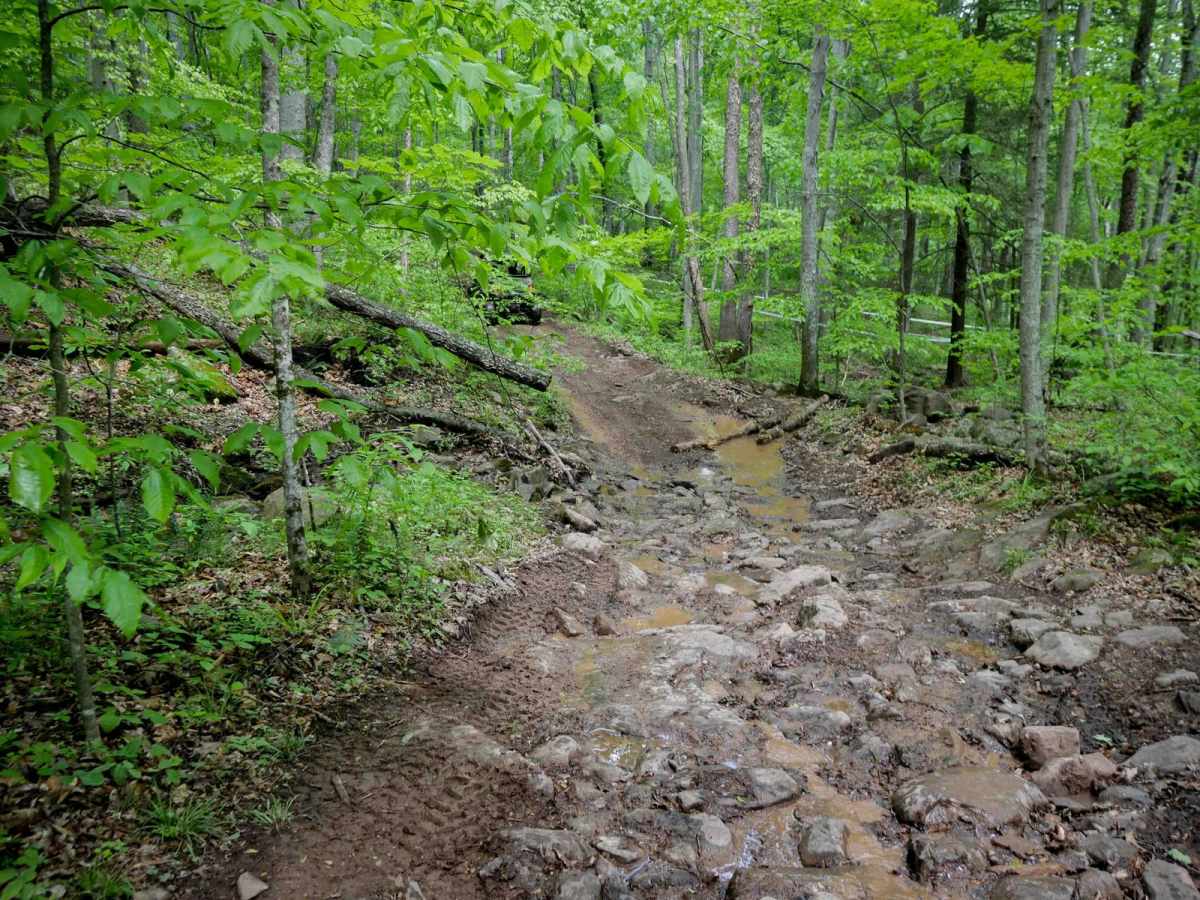 Trail 12 photo 3