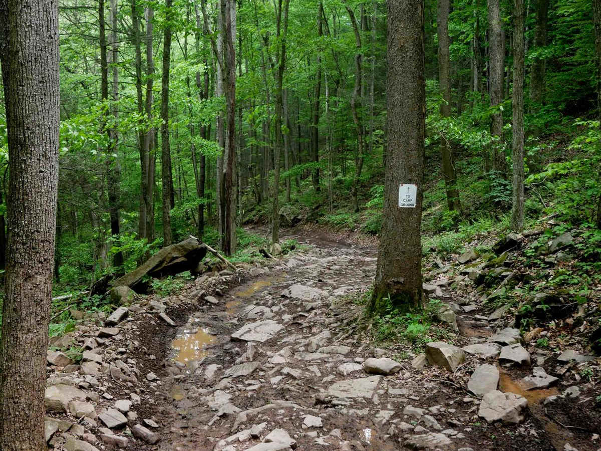 Trail 7 photo 5