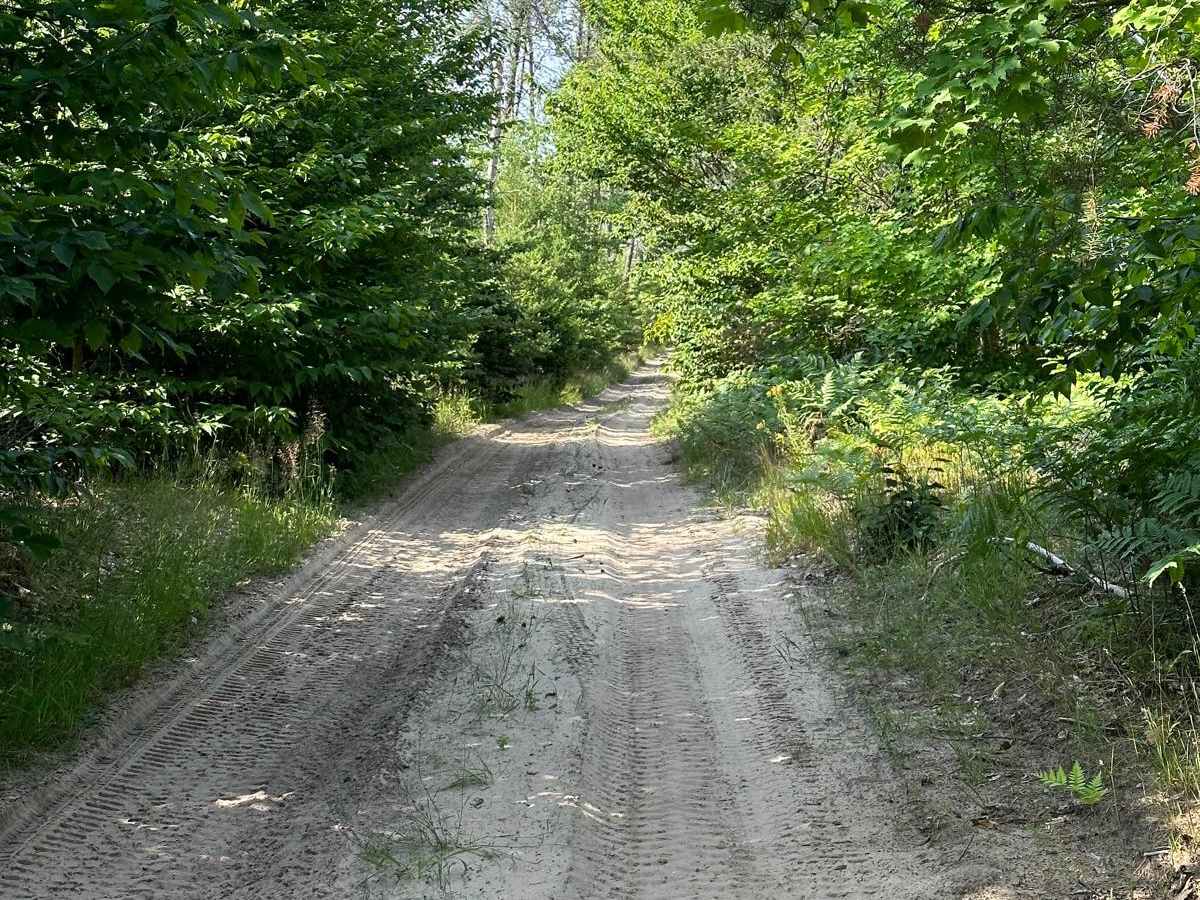 Oviatt Spur/Trail 3 trail photo