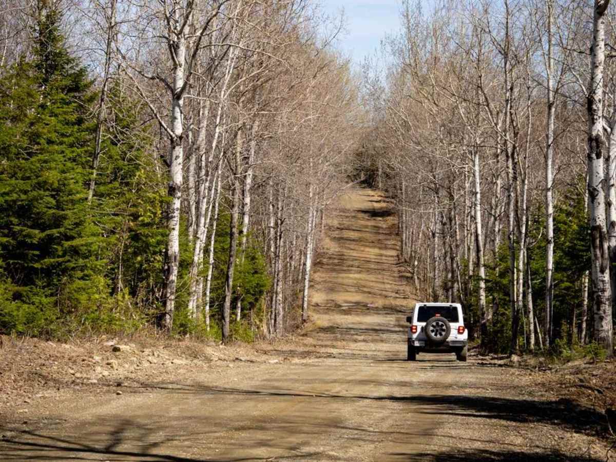 Tetagouche Trail (Part 1) trail photo