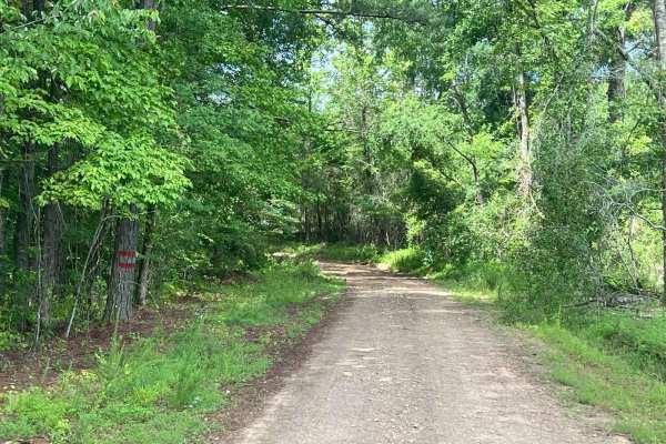 Edwards Road