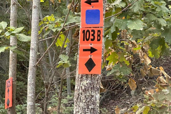 103