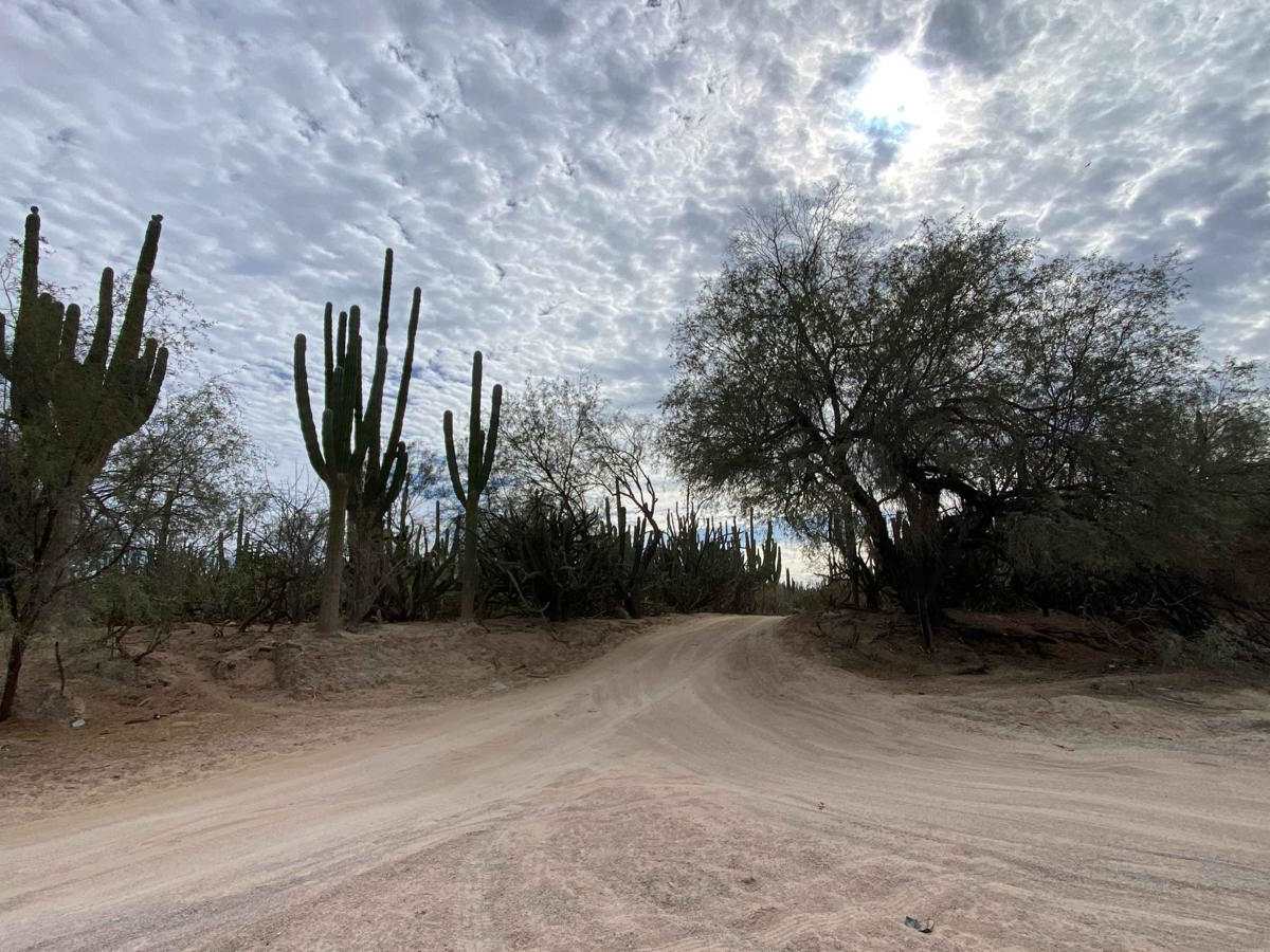 Tres Ranchos Arroyo trail photo