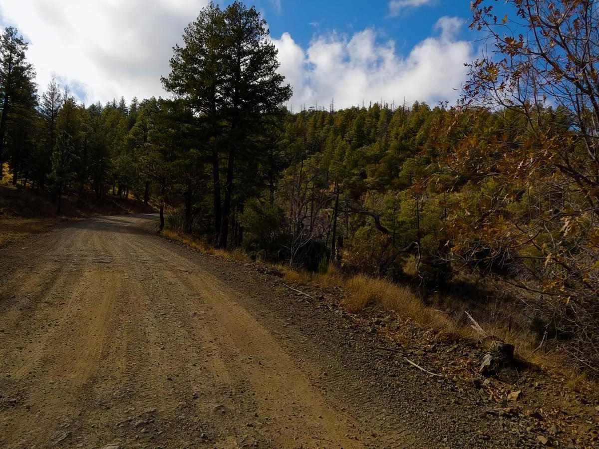 Chiricahua Byway photo 6