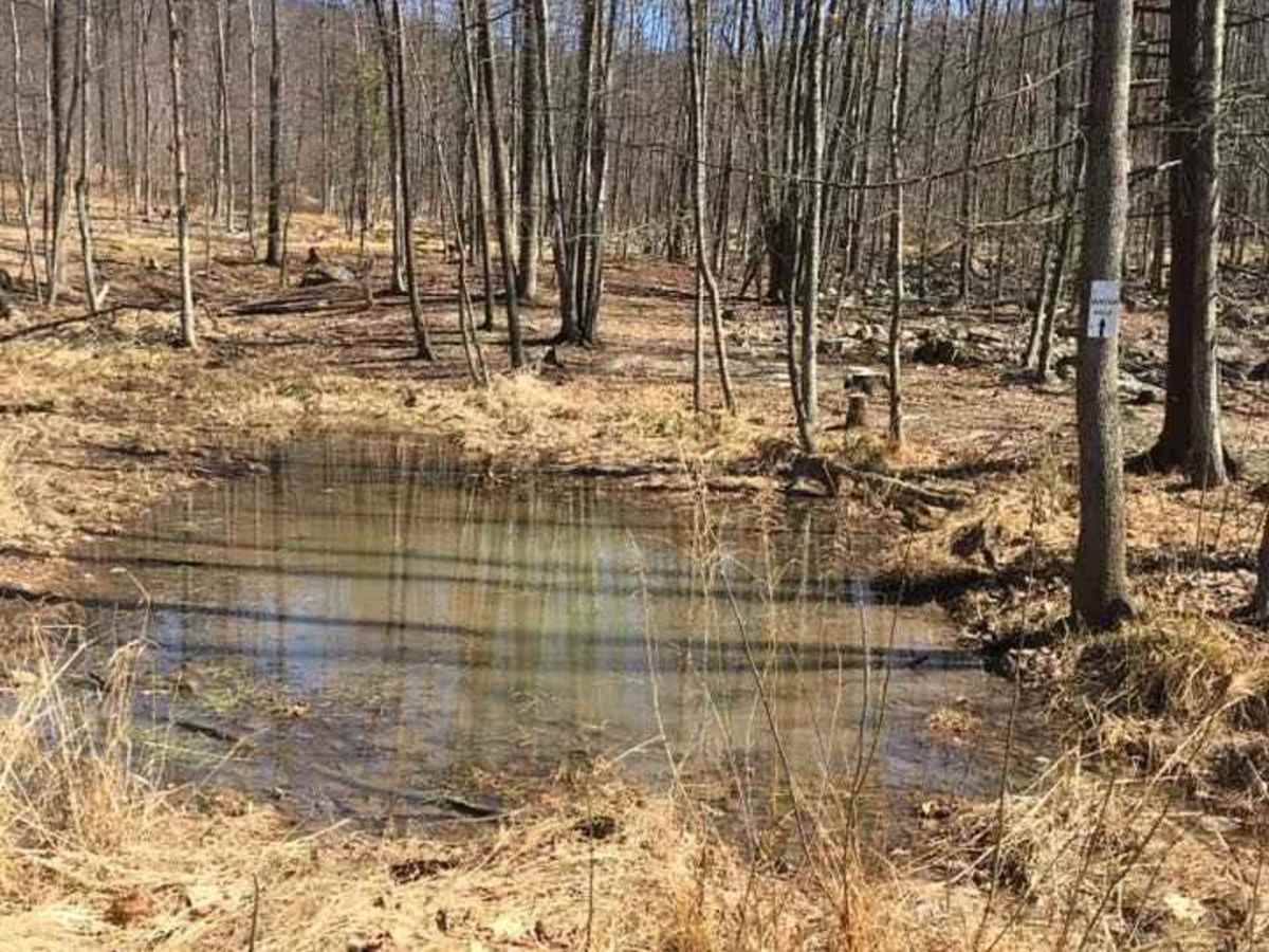 Water Hole Blue trail photo