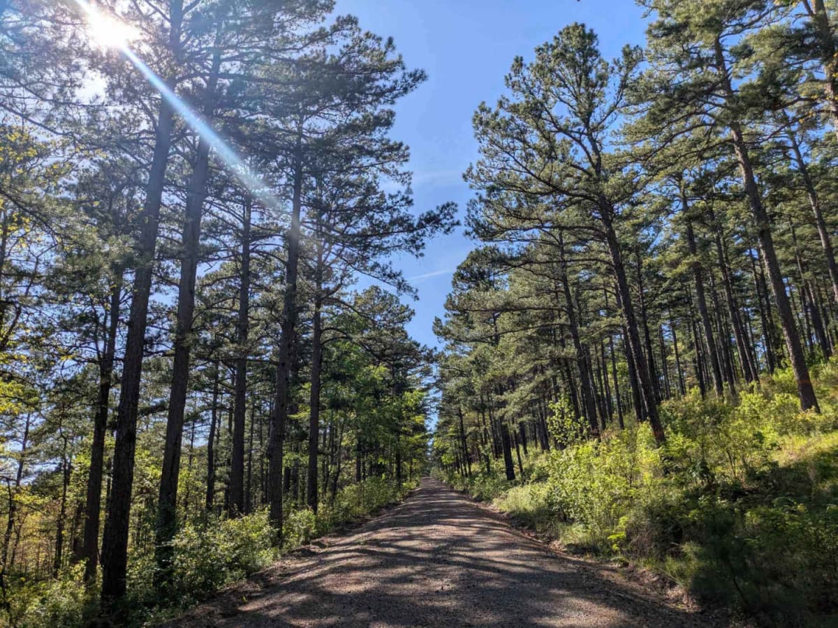 Terrapin Creek Road photo 4