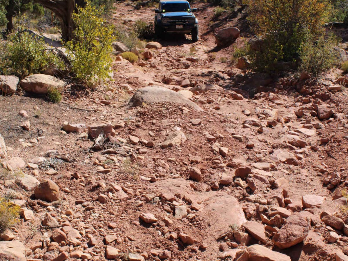 Red Canyon Paradox Trail trail photo