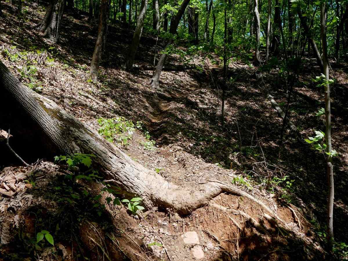 Stage 8 trail photo