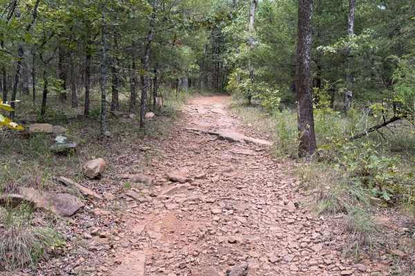 Huckleberry Mountain - Trail 2611