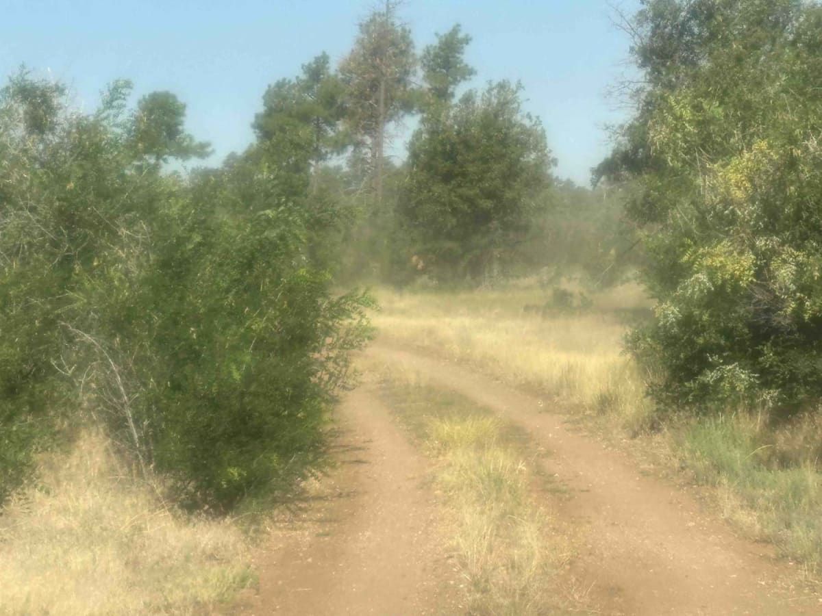 Sowats Point photo 2