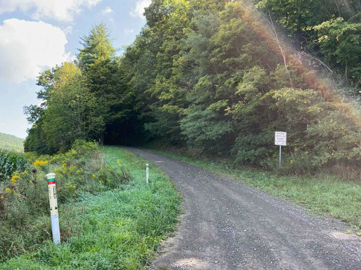 Bull Hill Road trail photo