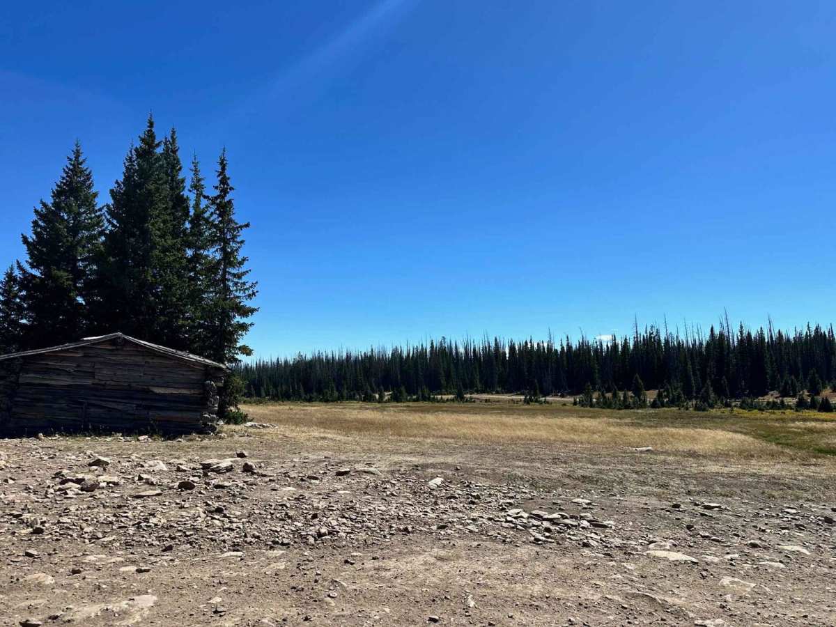 Libby Flats Road 336 photo 6