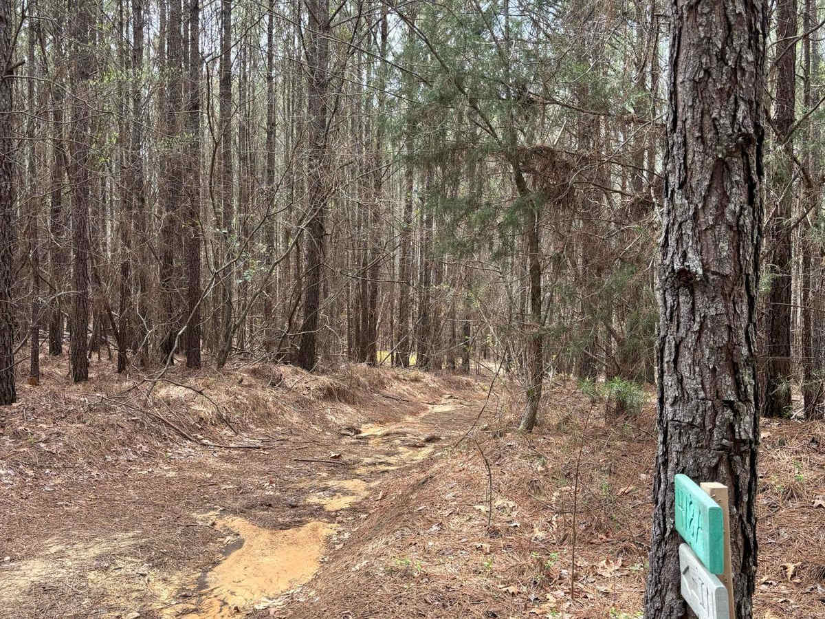 418A trail photo