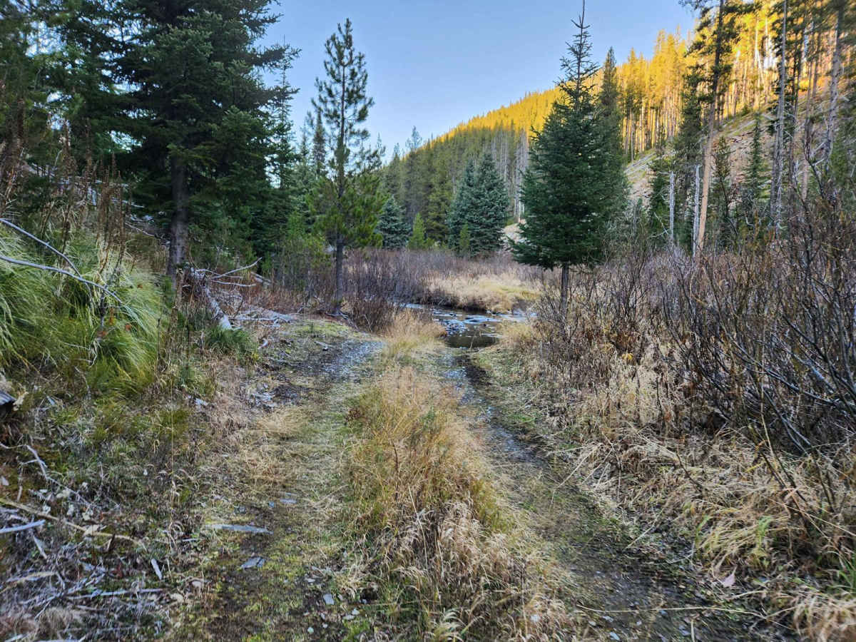 Frank Heller Mine Trail photo 4