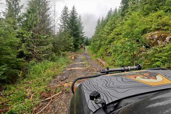 West Fork Creek - 6283