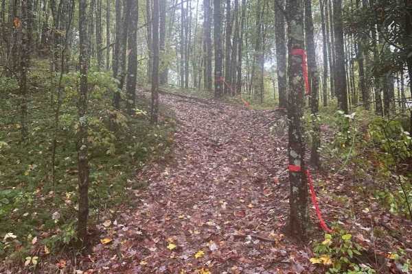 170 Single Track