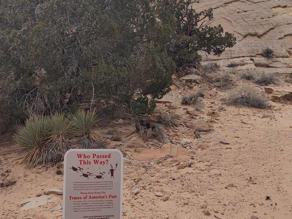 BLM 102H (Offshoot of White Tower Trail) photo 5