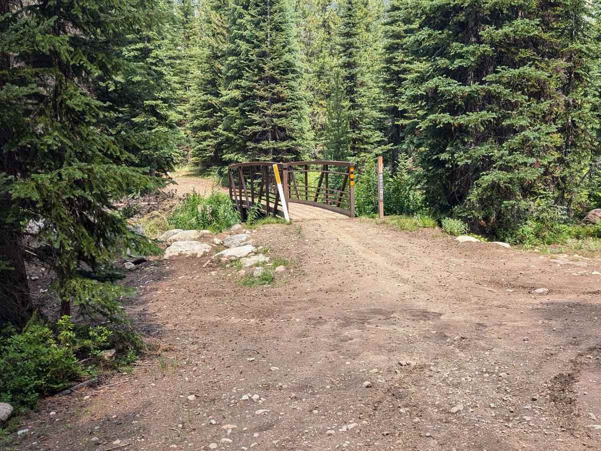 Forest Service Road 50329 (FSR 329/Willow Creek Road photo 4