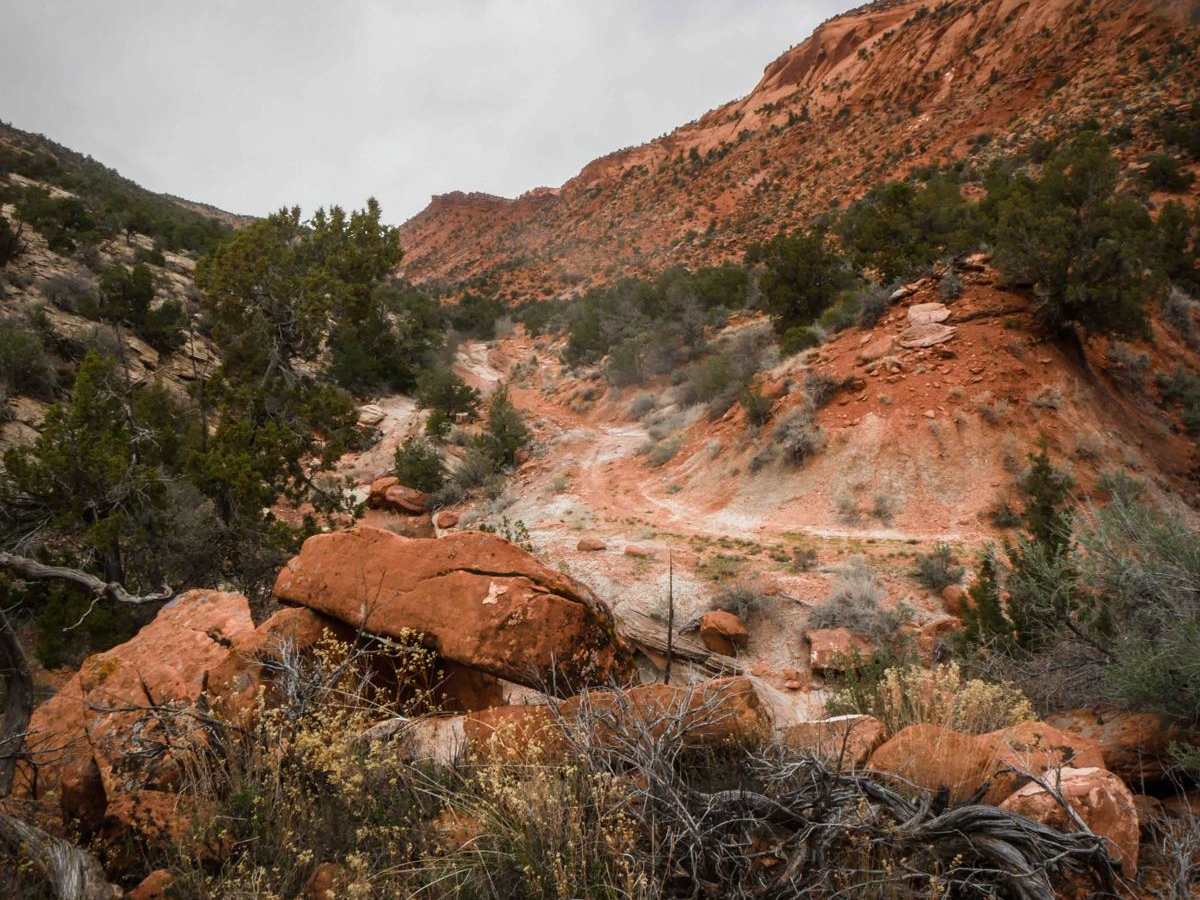 Comb Wash Cave Road photo 4