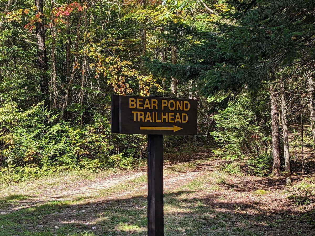 Bear Pond Trail trail photo