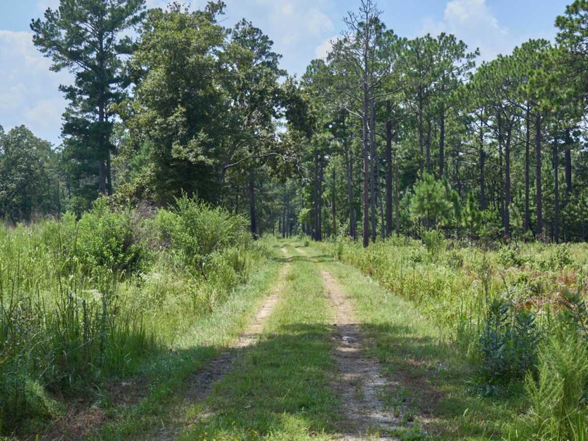 Fish Pond Loop - Extension trail photo
