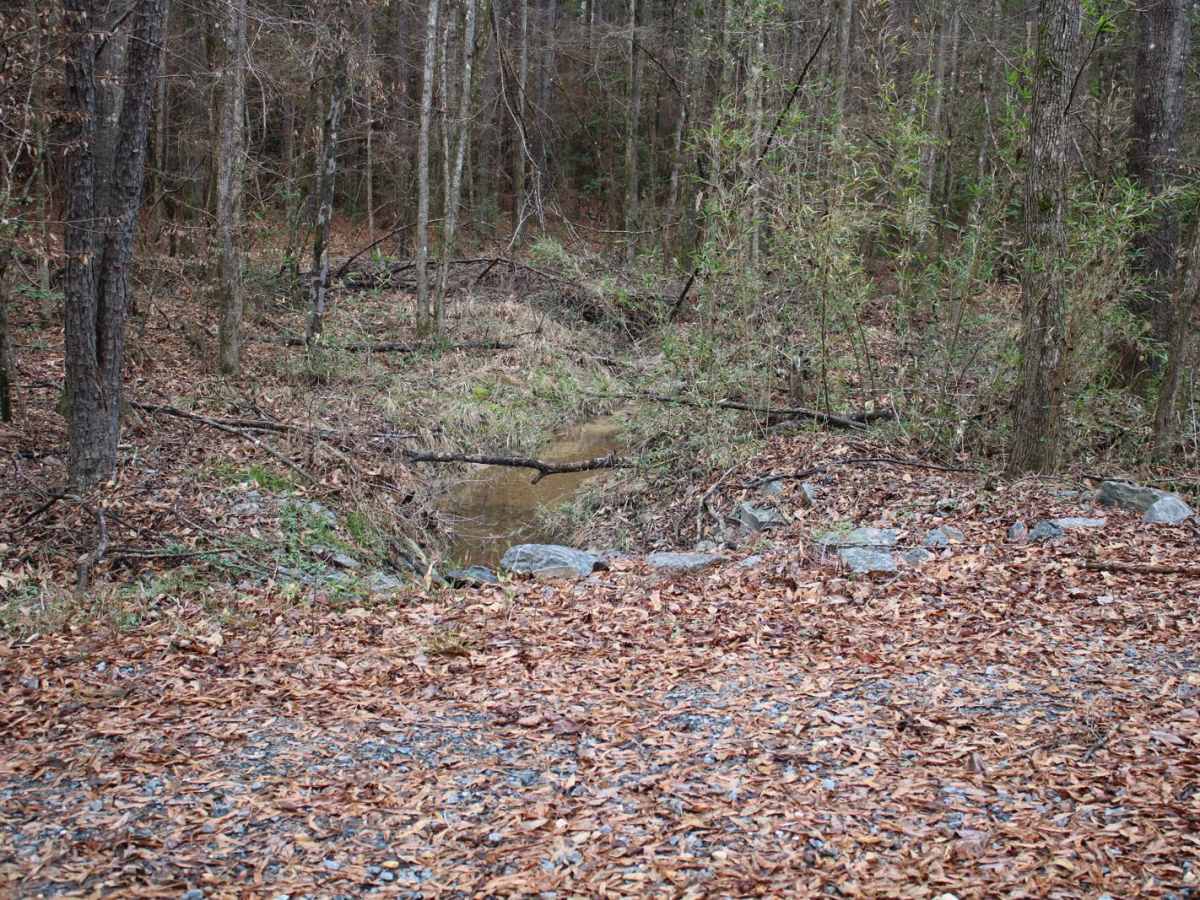 Black Mountain photo 3