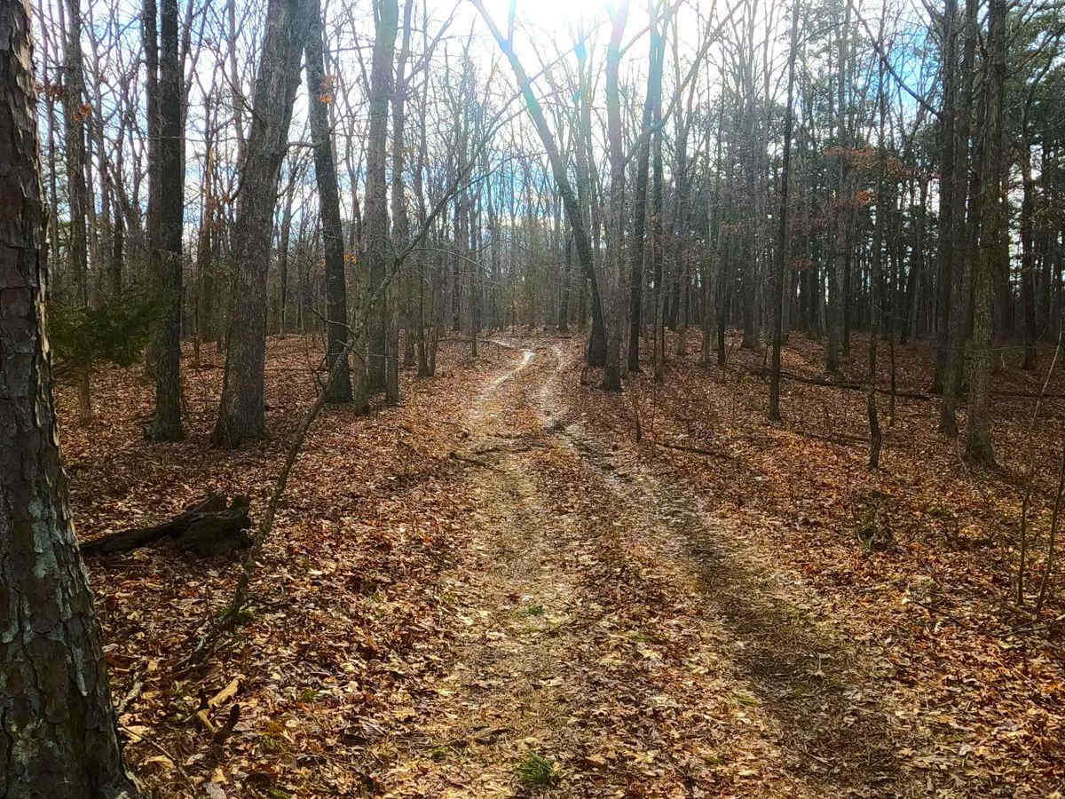 Trace Creek - FS 2673 photo 6