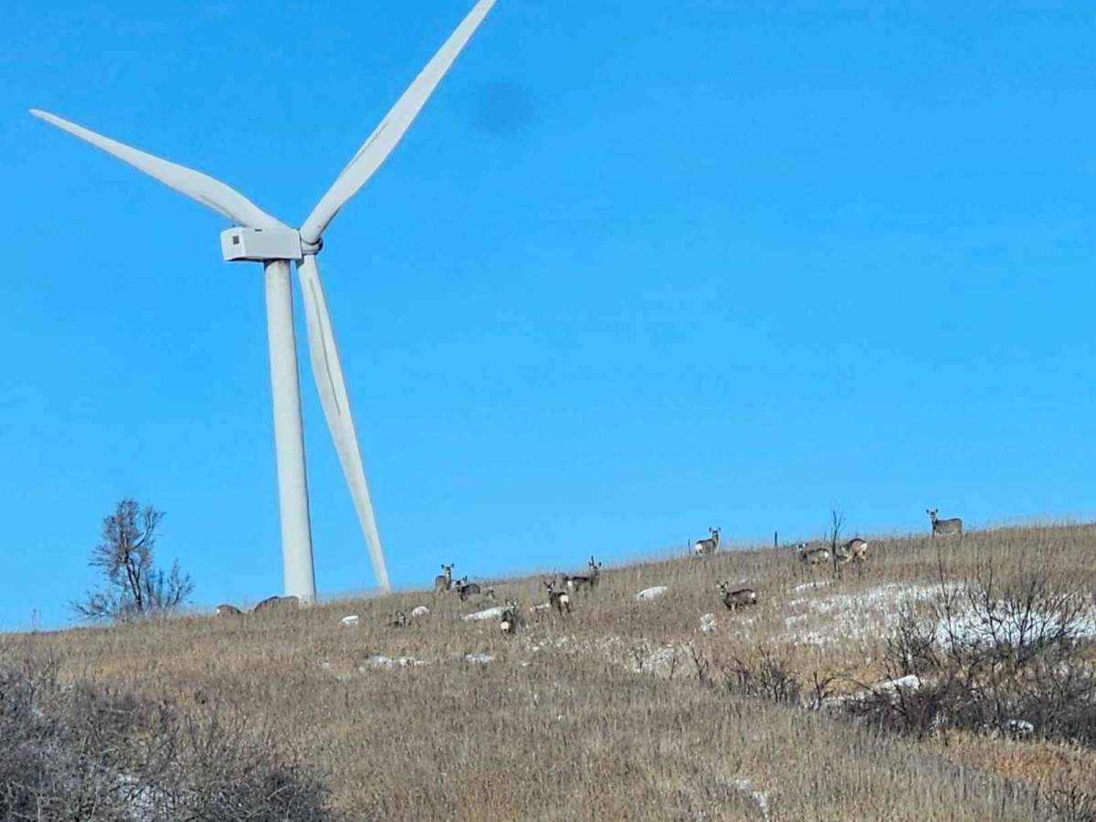 Oliver III Wind Farm trail photo