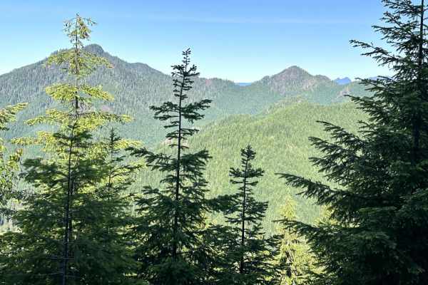 Dusk Point Trail