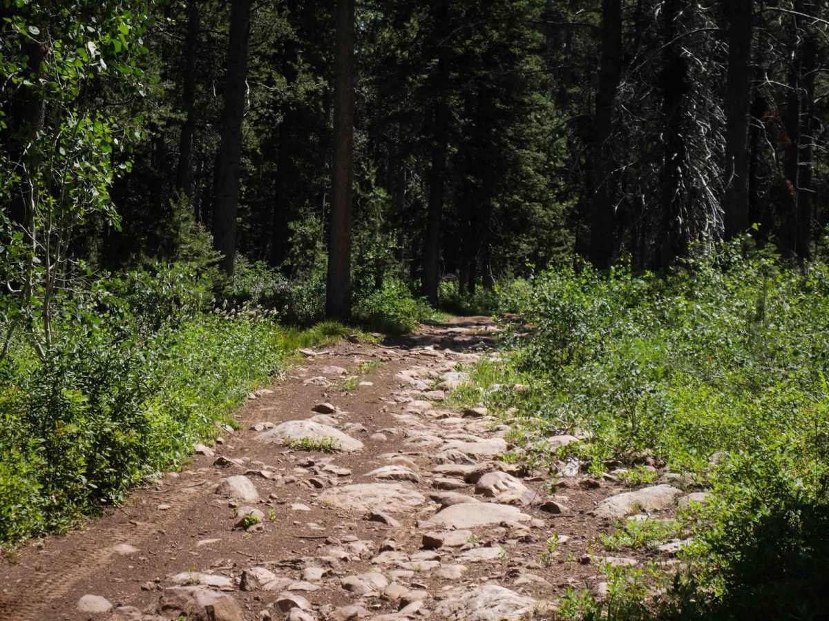 Emigration #3359  trail photo