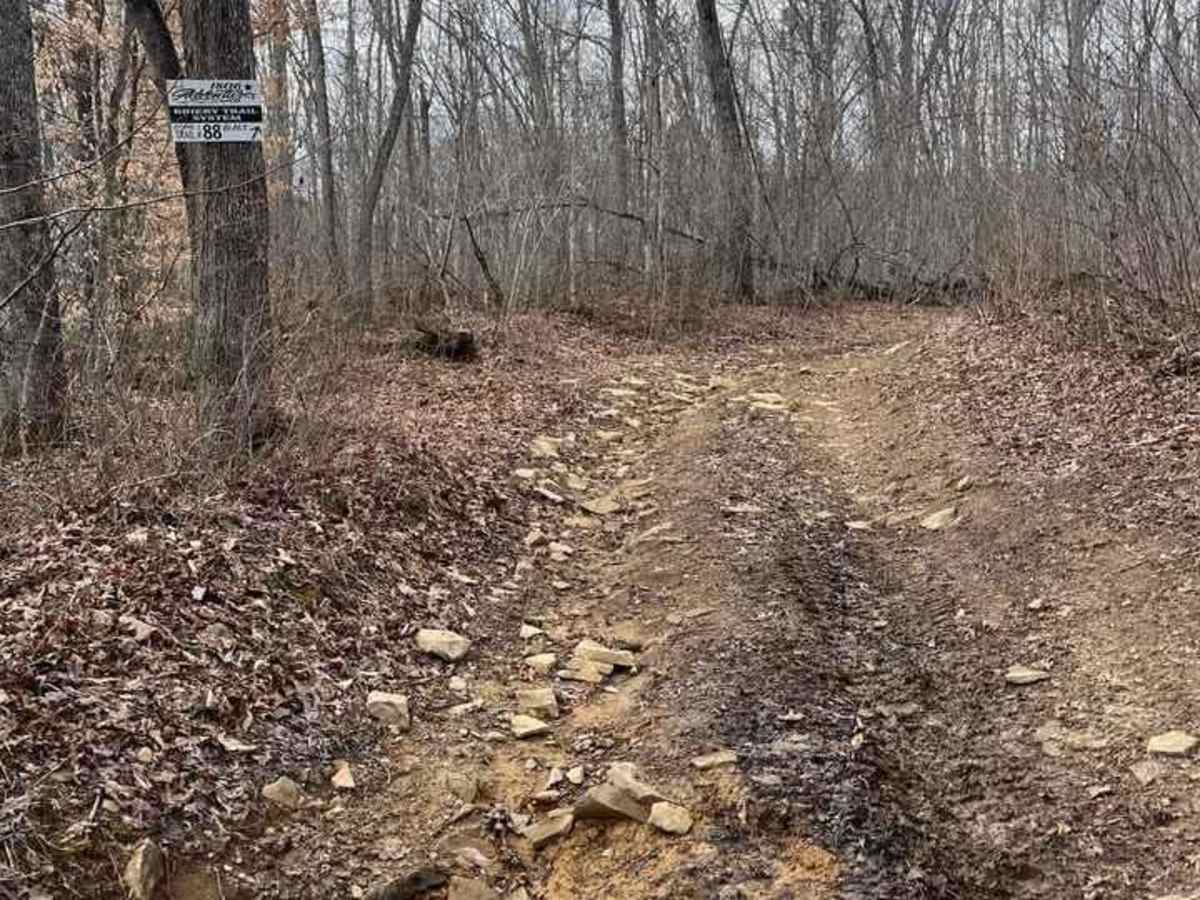 Trail 88 photo 5