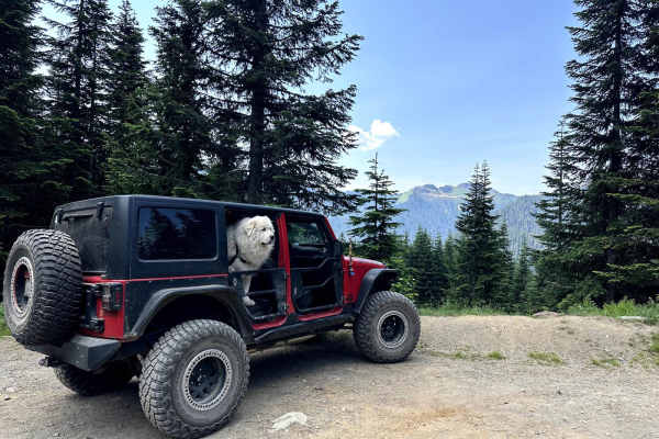 Canyon Creek Road
