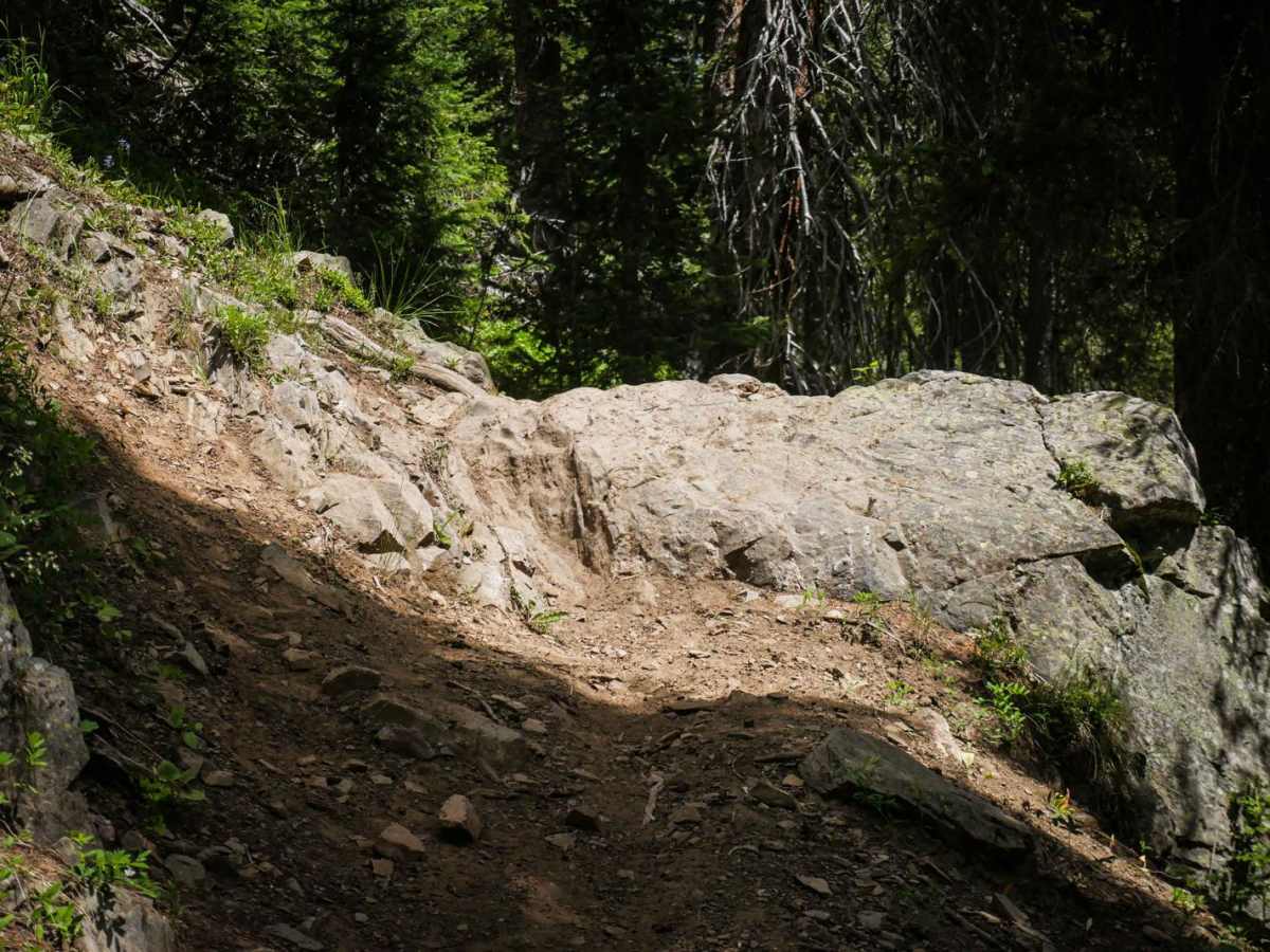 Whiskey Creek trail photo