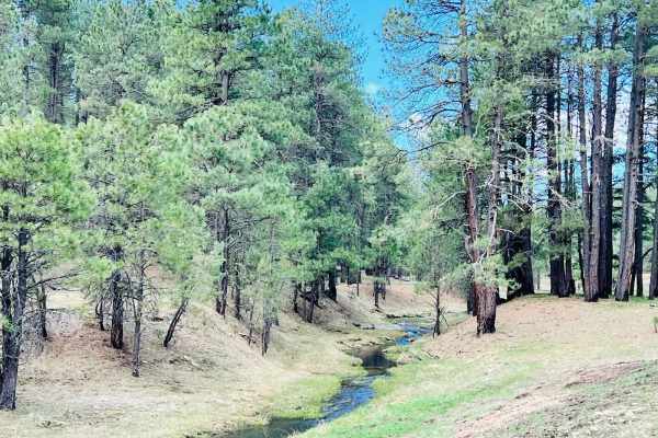 Potato Lake Rim Road