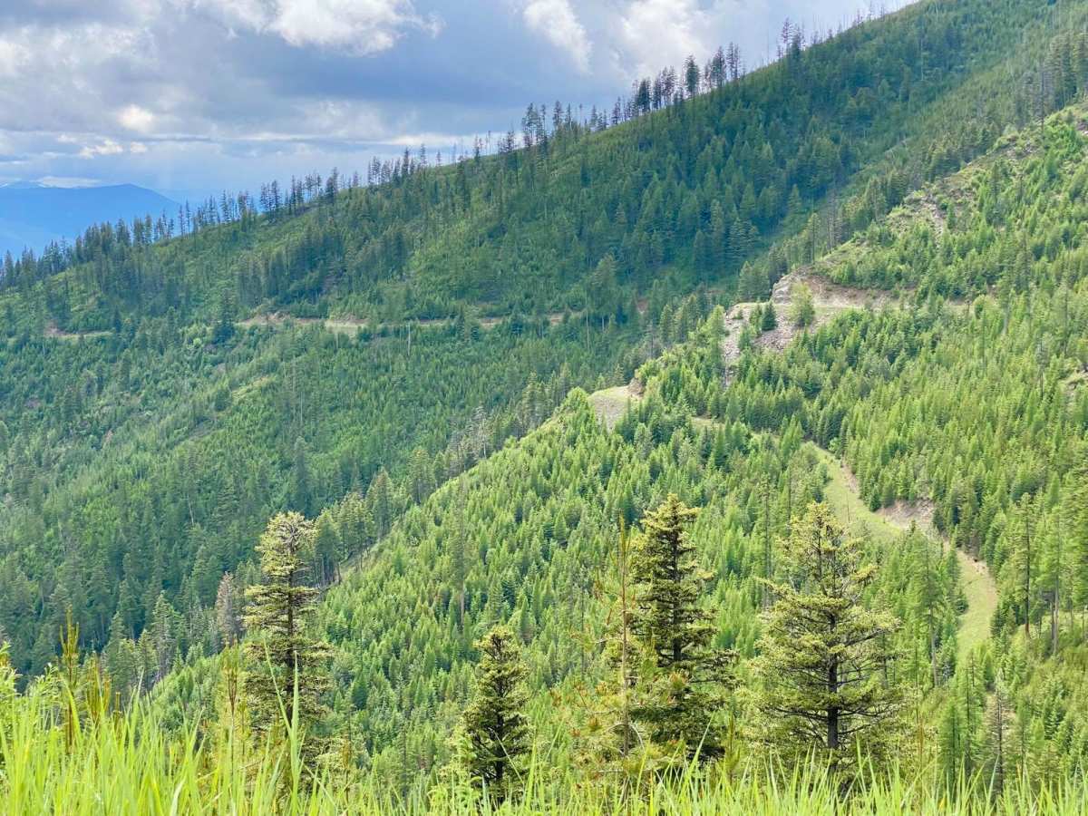 Upper Idaho Gulch photo 4