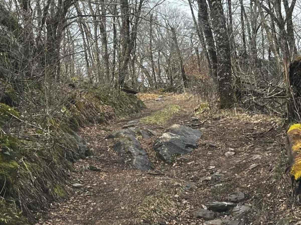 Horse Creek photo 6
