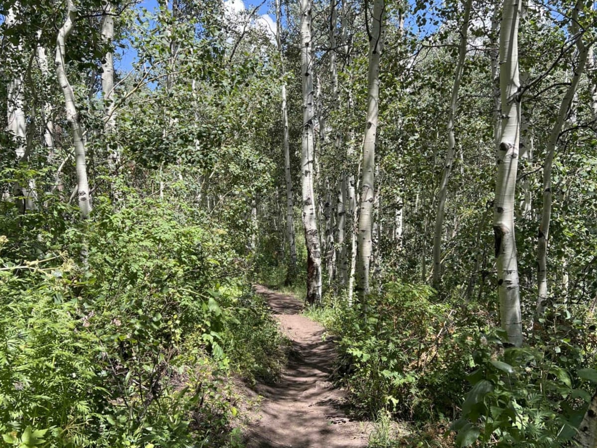 Lame Horse (2055) trail photo
