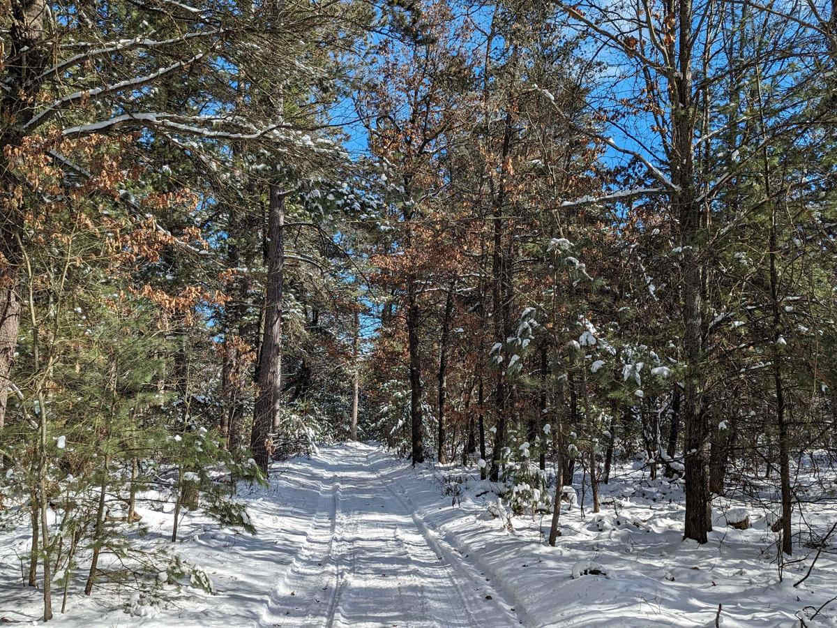 Cemetery Trail (Pere Cheney Ghost Town) photo 3
